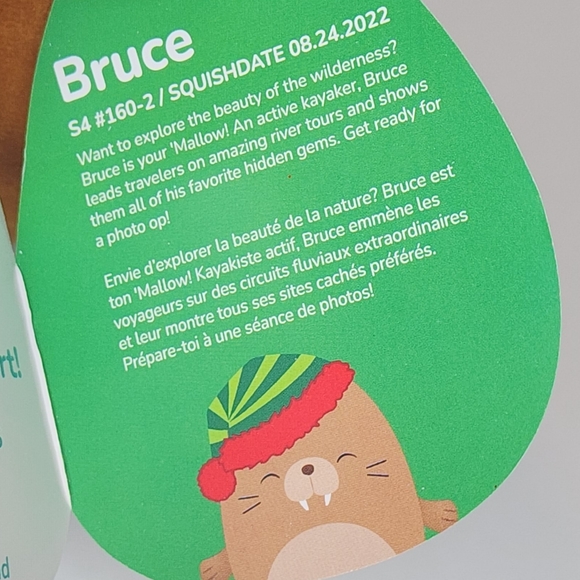 🎄 BRUCE 🦭 Elf Hat Walrus Christmas 2023 Original Squishmallow ☆》NWT《☆ - Picture 3 of 8